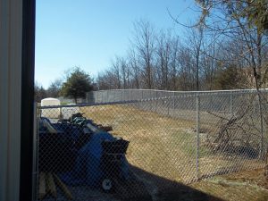 chainlink fencing 1101 1