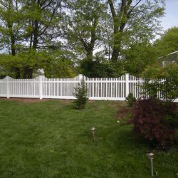 picket fence experts