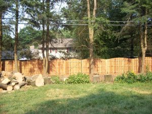 1x4 Convex Red Cedar Shadowbox