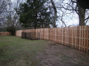 Shadowbox Fencing