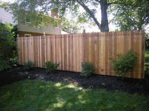 French Gothic Top Red Cedar Privacy
