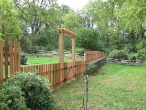 Red Cedar Picket Fence W/ 2 Post Pergola