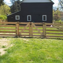 5 rail post wood fence gate
