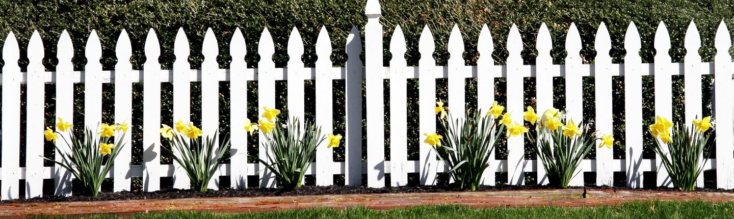 Cleaned White Vinyl Fence with Flowers