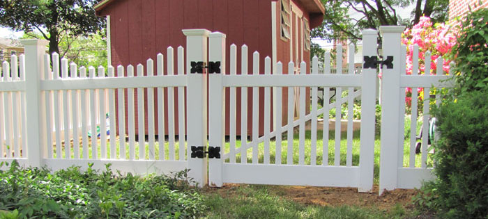 Backyard white picket fence with gate