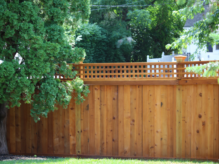 Red cedar wood privacy fence