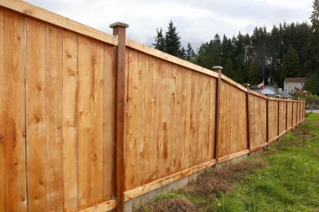 Why Choose a Cedar Wood Fence for Your Backyard